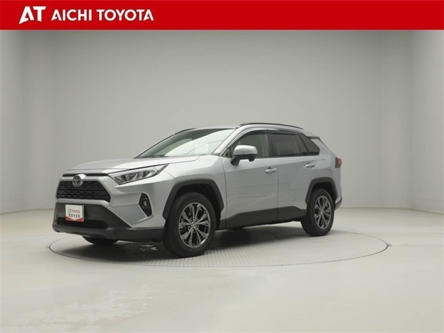 RAV42.0 X