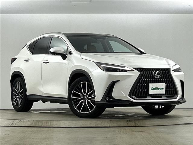 NX350h バージョンL