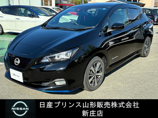 リーフe+ X