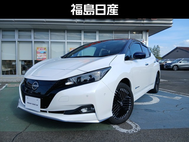 リーフe+ G