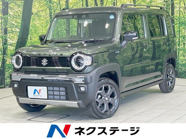 ハスラータフワイルド
