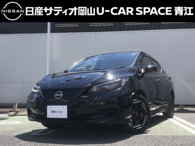 リーフX
