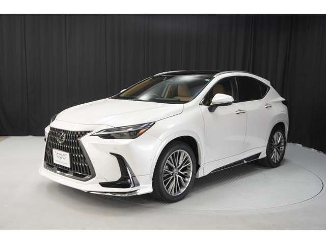 NX350h バージョンL