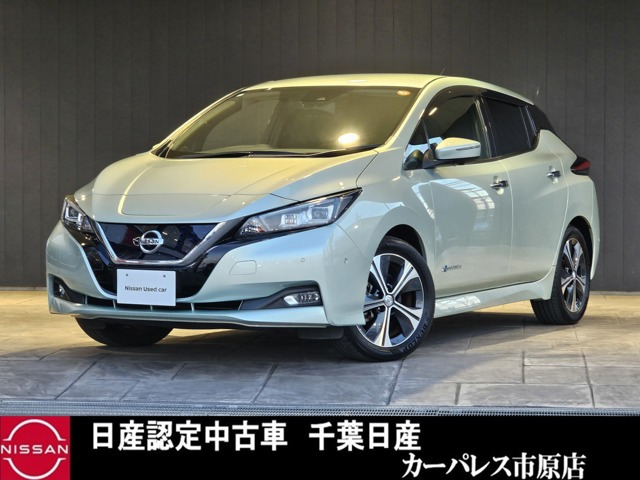 リーフG