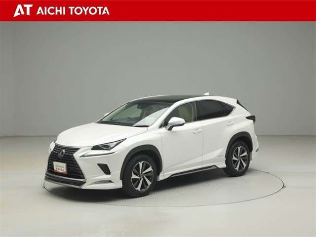 NX300h バージョンL