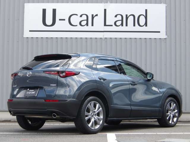 CX-302.0 20S プロアクティブ
