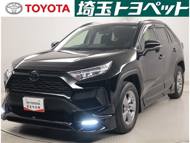 RAV42.0 X