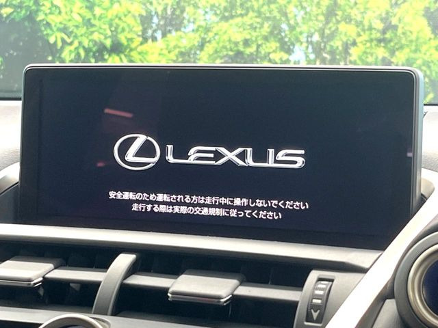 NX300h Fスポーツ