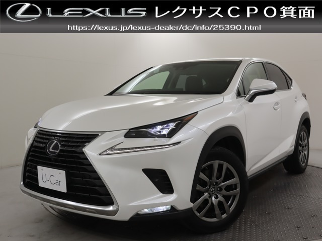 NX300h バージョンL 4WD