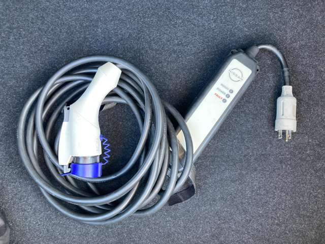 リーフe+ AUTECH