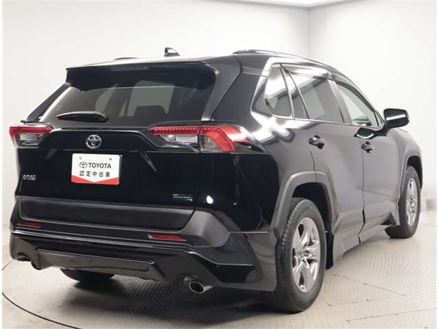 RAV42.0 X