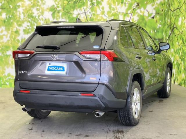 RAV42.0 X