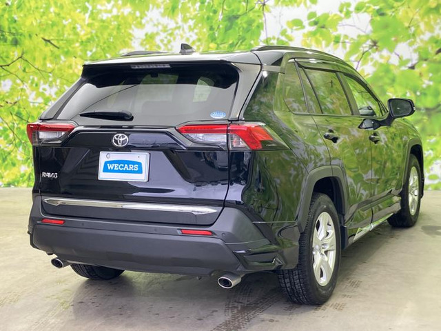 RAV42.0 X