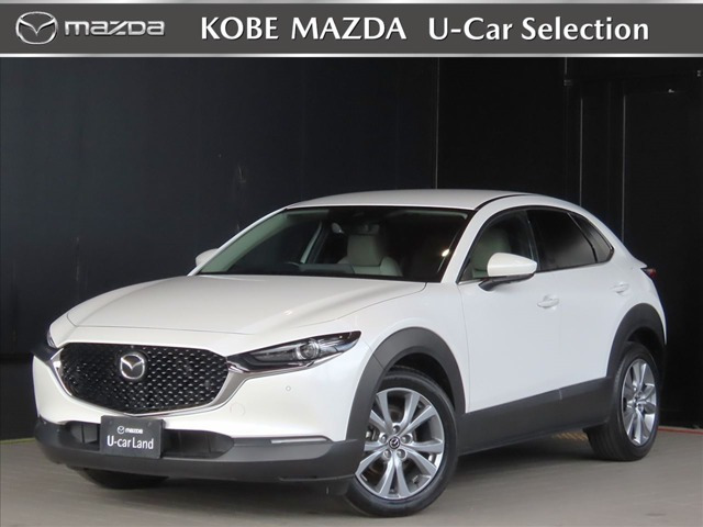 CX-302.0 20S プロアクティブ ツーリングセレクション