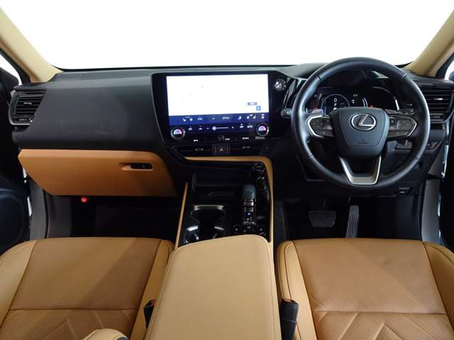NX250 バージョンL