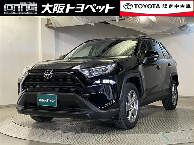 RAV42.0 X