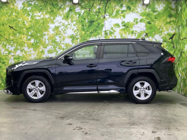 RAV42.0 X