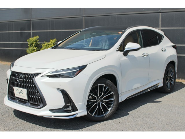 NX350h バージョンL