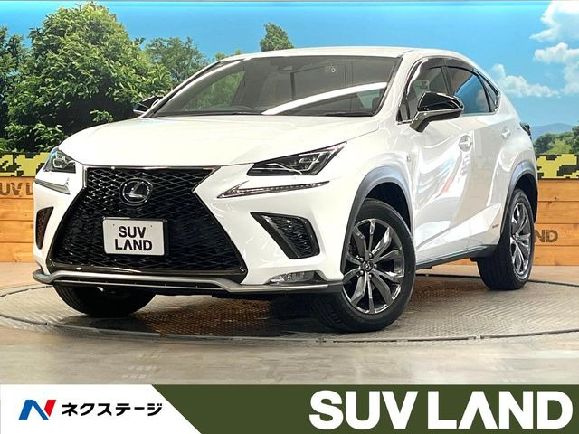 NX300h Fスポーツ