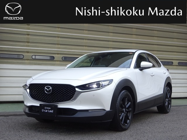 CX-301.8 XD Lパッケージ