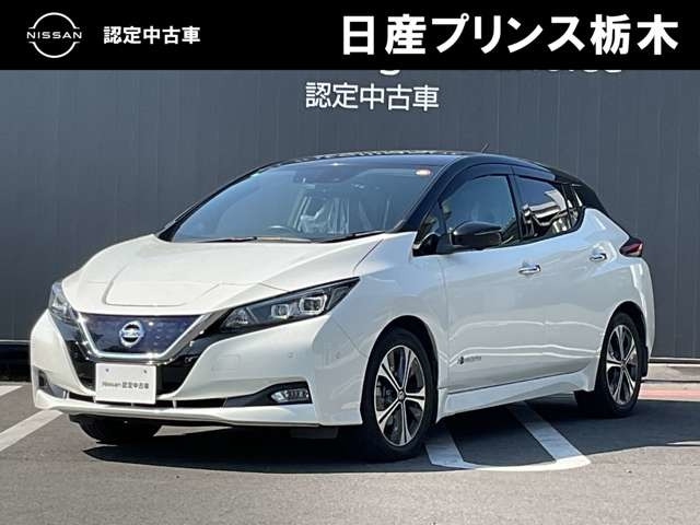 リーフX