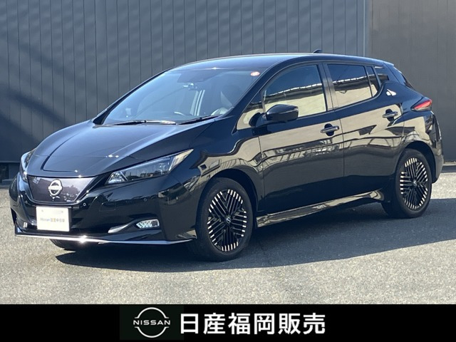 リーフe+ G