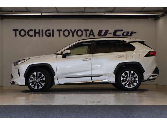 RAV4