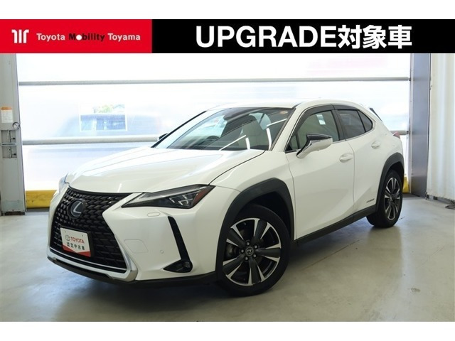 UX250h バージョンL