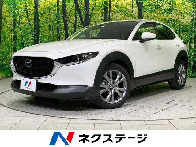 CX-301.8 XD Lパッケージ