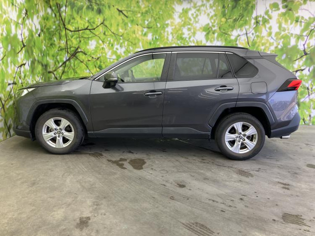 RAV42.0 X