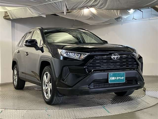 RAV42.0 X