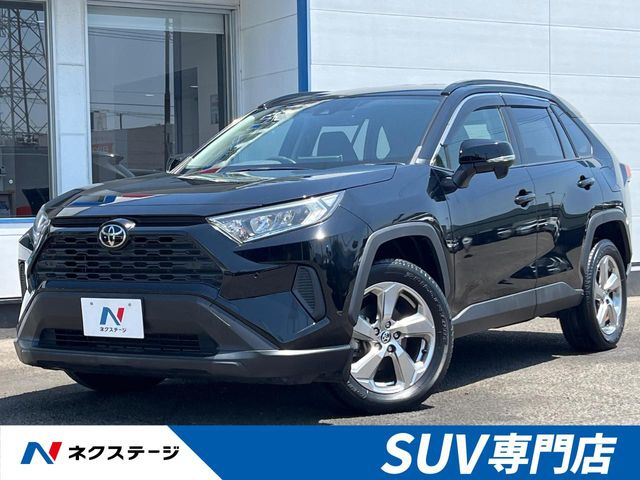 RAV42.0 X