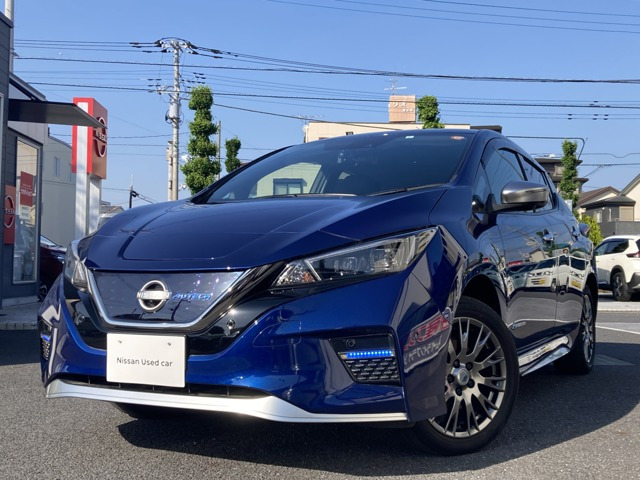 リーフe+ AUTECH