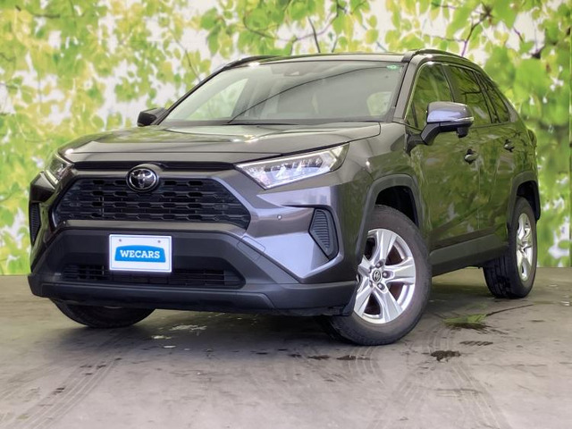 RAV42.0 X