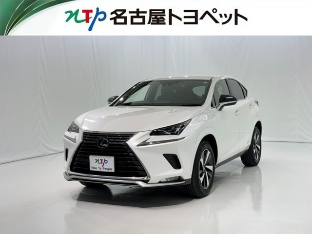 NX300h