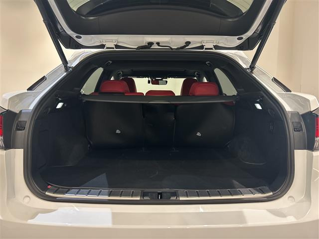 RX300 Fスポーツ