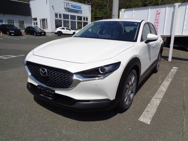 CX-302.0 20S 4WD