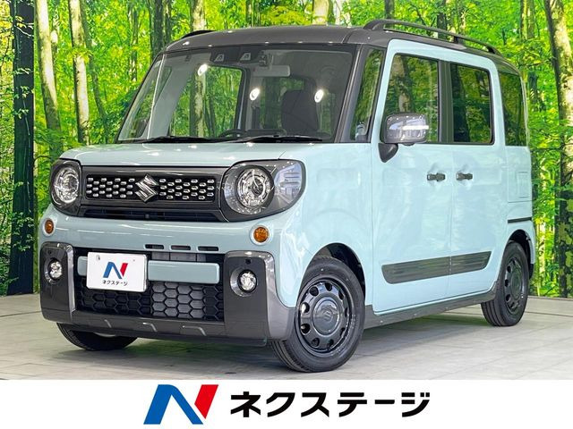 �X�y�[�V�A�M�A(�X�Y�L) �n�C�u���b�h(HYBRID) XZ�^�[�{ ���Îԉ摜