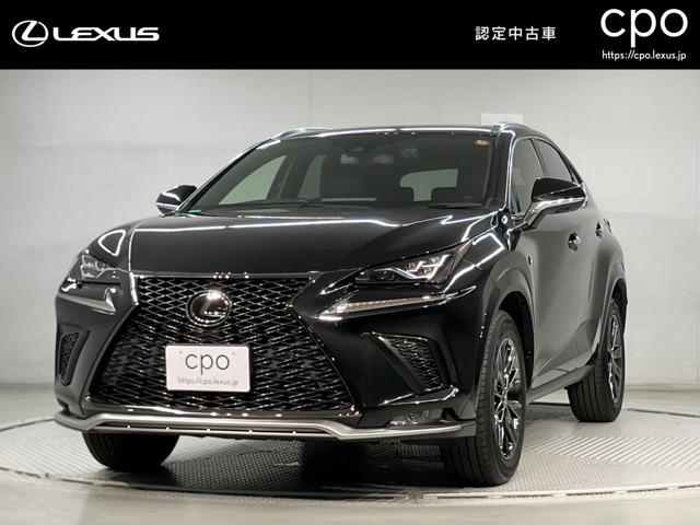 NX300 4WD