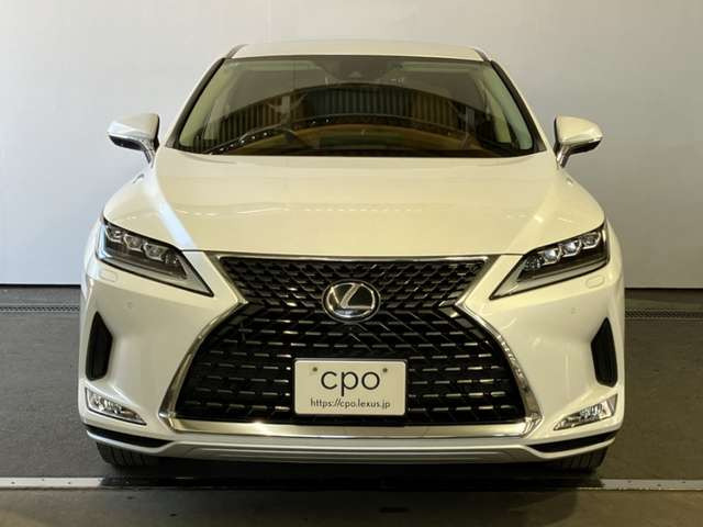 RX300 バージョンL