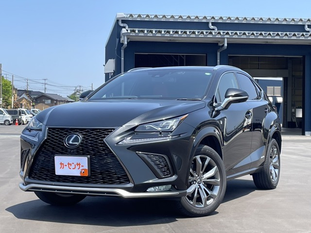 NX300h Fスポーツ