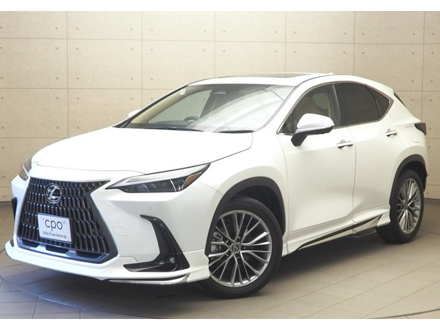 NX350h バージョンL