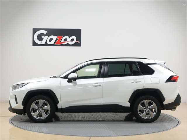 RAV42.0 X