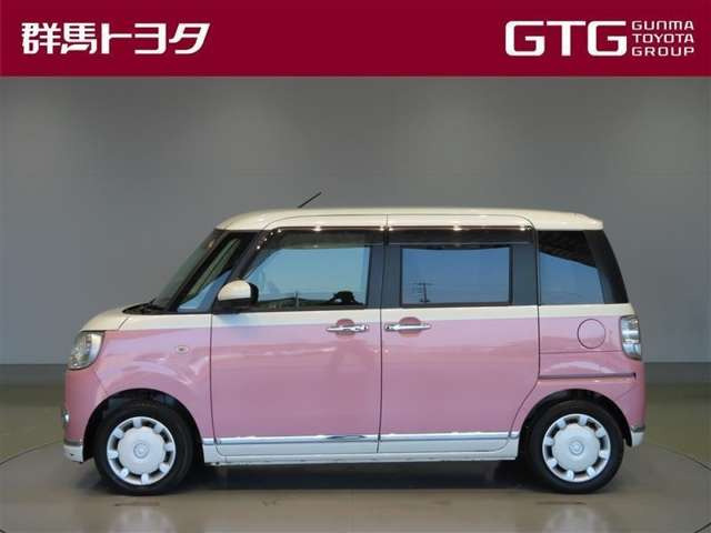 ムーヴキャンバスG SAIII