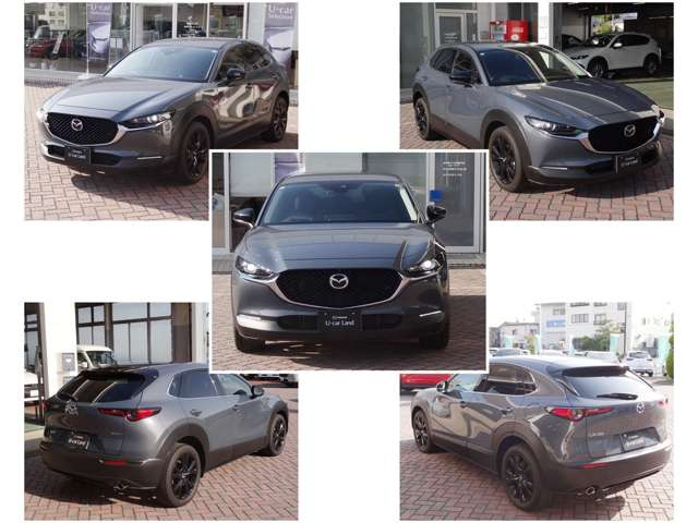 CX-302.0 20S