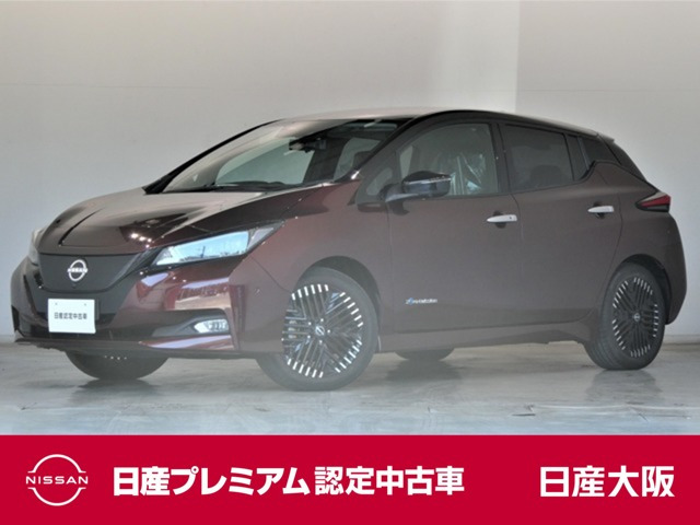 リーフG