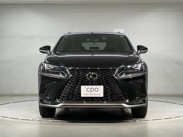 NX300 4WD