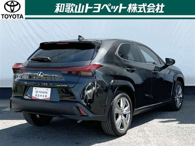 UX250h グレイスフル エクスプローラー