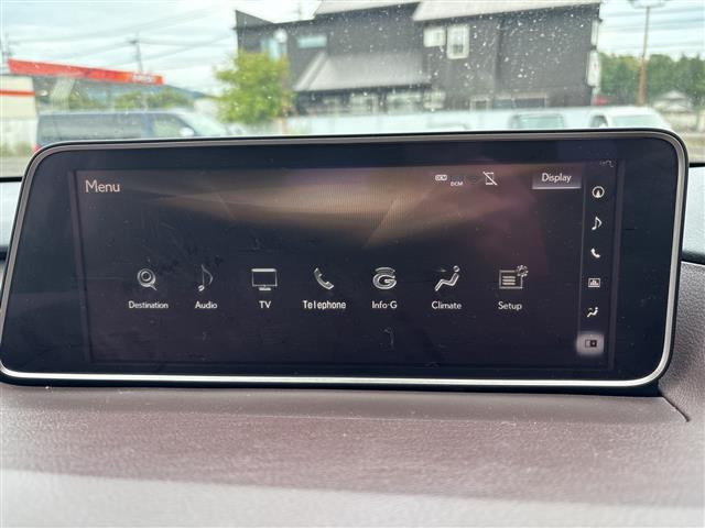RX300 バージョンL