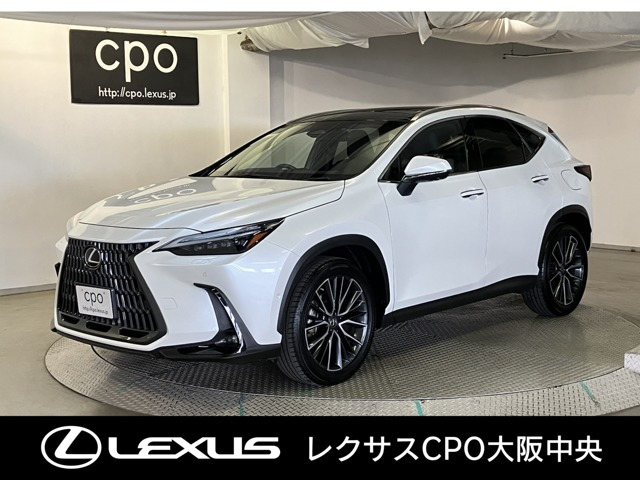 NX350h バージョンL